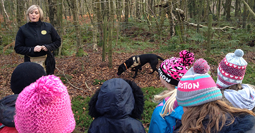Detection dog seminar demonstration with attendees