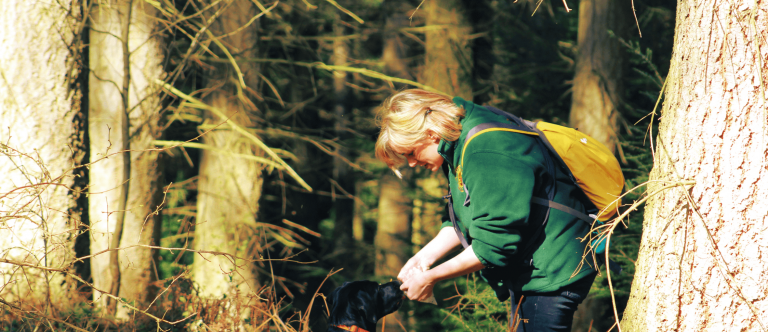 Handler with detection dog searching woodland