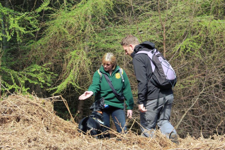 Wildlife crime detection dog searching outdoors