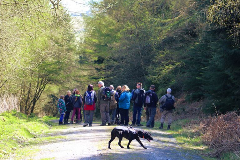 Detection dog working with a handler during wildlife crime training
